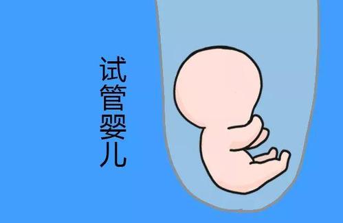 专业同志代怀助孕报价多少